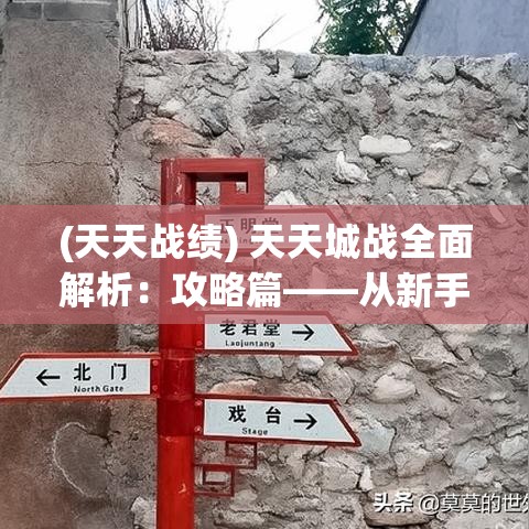 (天天战绩) 天天城战全面解析：攻略篇——从新手到高手，如何高效建造与升级战略要塞？掌握核心技巧，助你问鼎霸主之位！